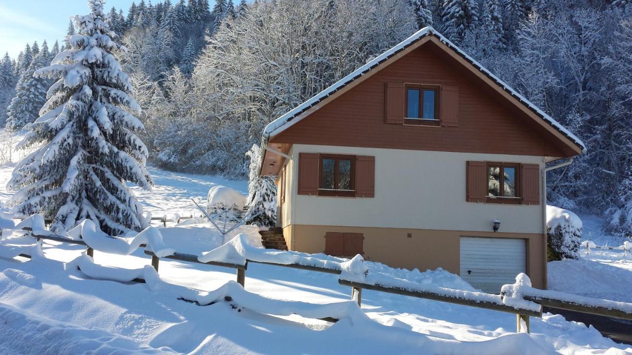Le Bois Joli Chalet 4 Etoiles Cledicihome Cadre Paisible En Lisiere De Foret Gérardmer Zewnętrze zdjęcie