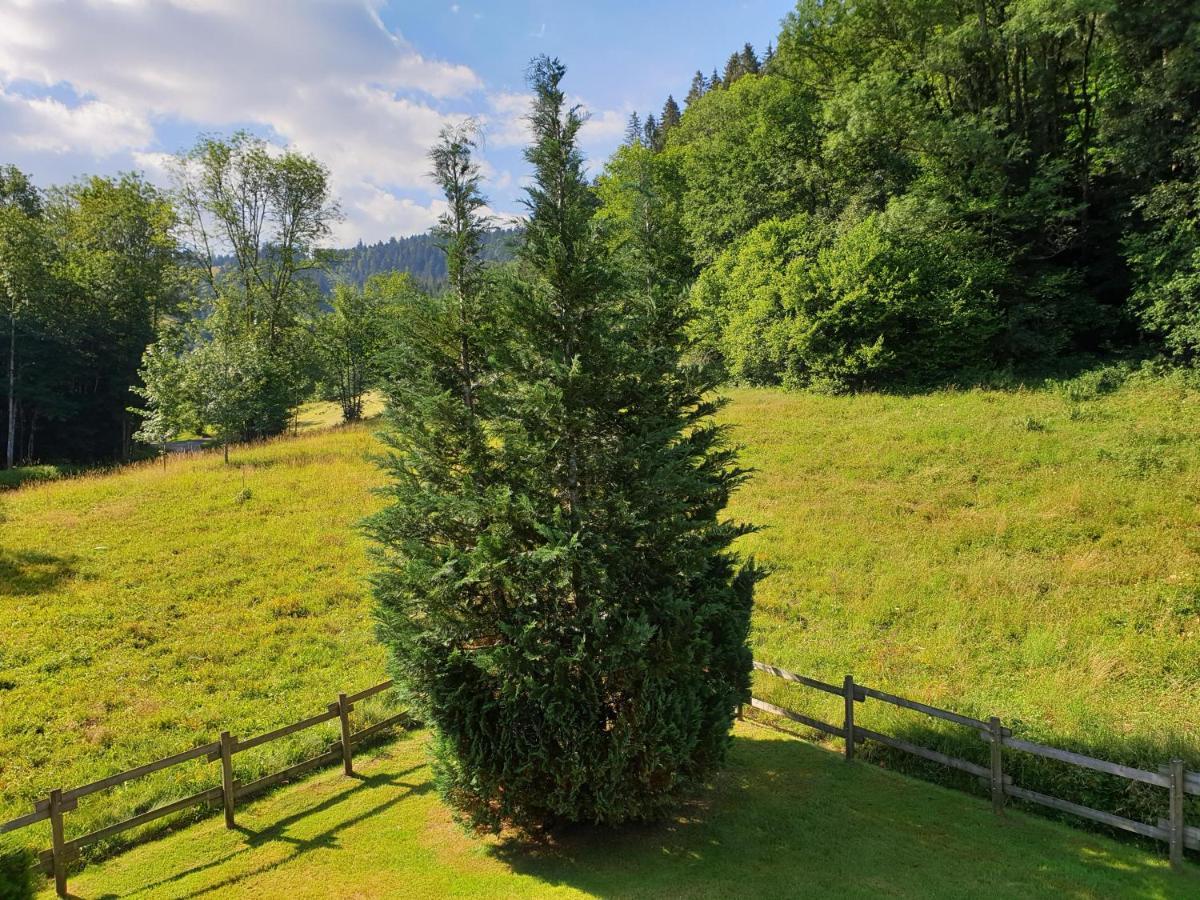 Le Bois Joli Chalet 4 Etoiles Cledicihome Cadre Paisible En Lisiere De Foret Gérardmer Zewnętrze zdjęcie