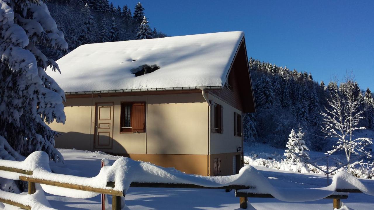 Le Bois Joli Chalet 4 Etoiles Cledicihome Cadre Paisible En Lisiere De Foret Gérardmer Zewnętrze zdjęcie
