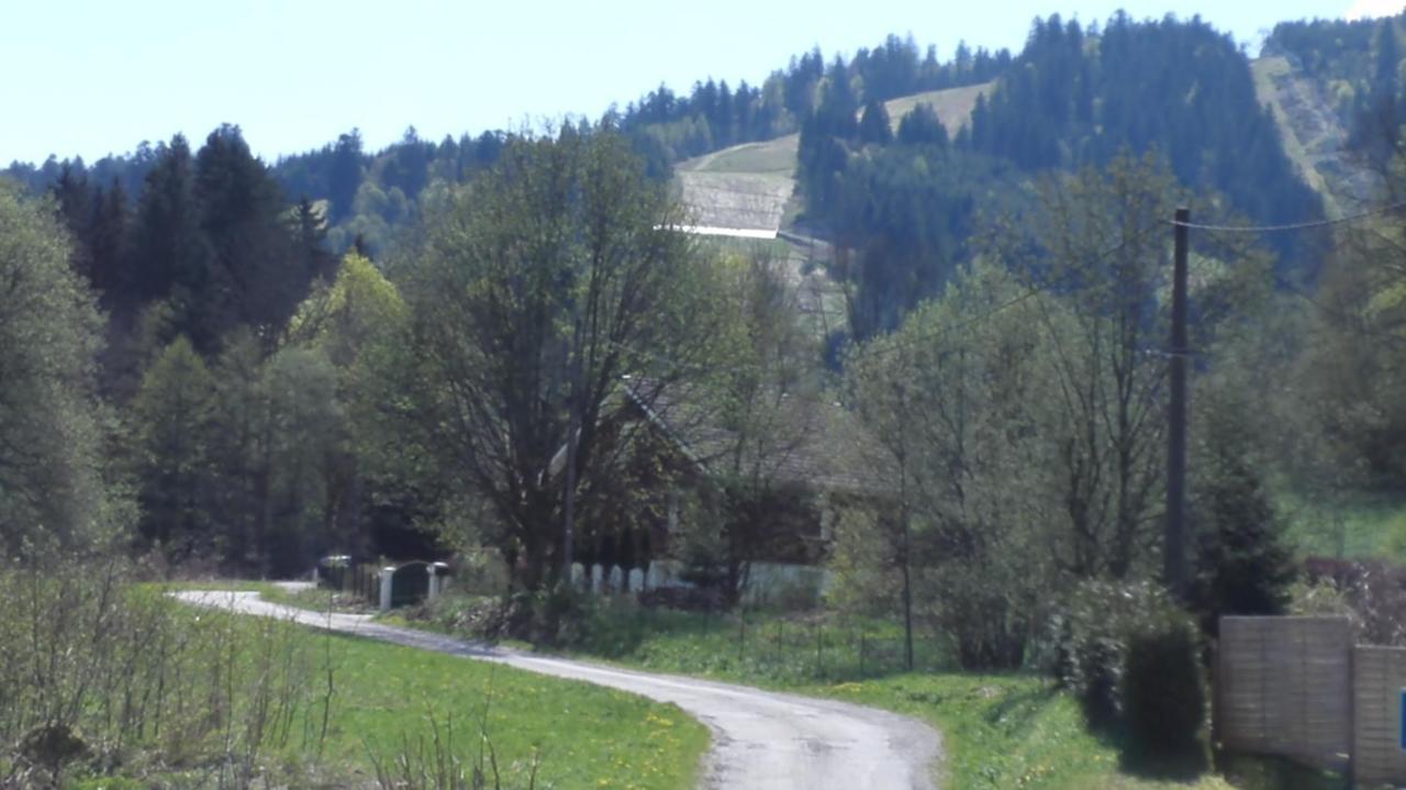 Le Bois Joli Chalet 4 Etoiles Cledicihome Cadre Paisible En Lisiere De Foret Gérardmer Zewnętrze zdjęcie