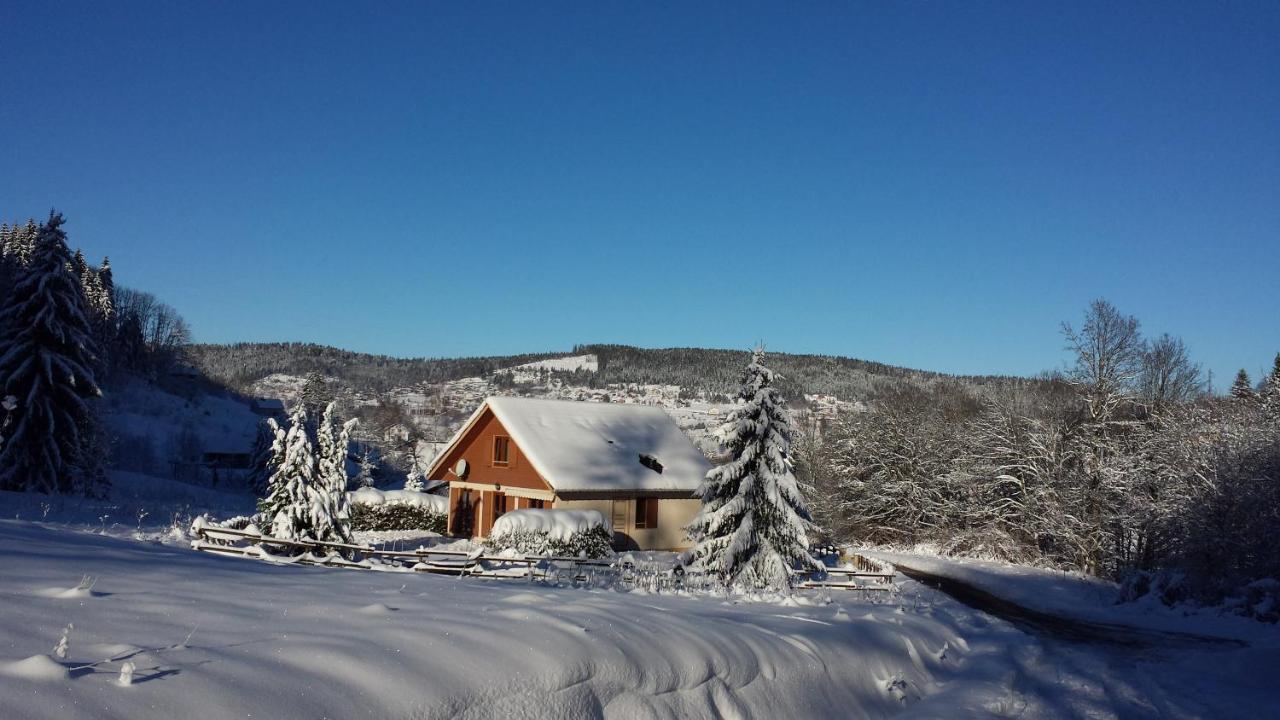 Le Bois Joli Chalet 4 Etoiles Cledicihome Cadre Paisible En Lisiere De Foret Gérardmer Zewnętrze zdjęcie