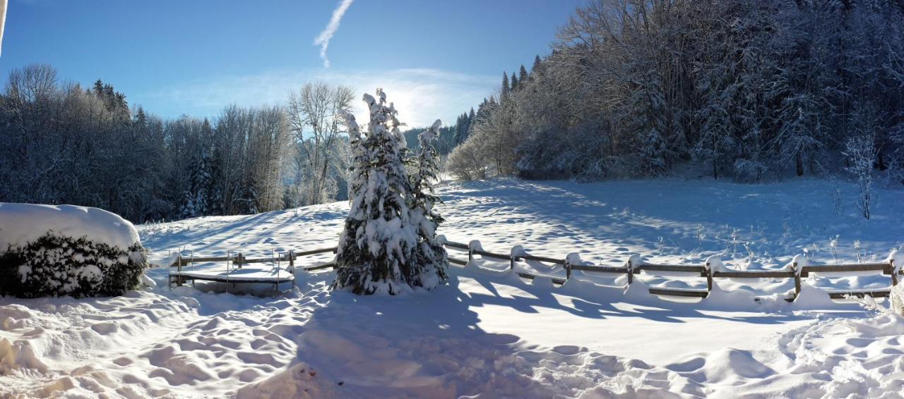 Le Bois Joli Chalet 4 Etoiles Cledicihome Cadre Paisible En Lisiere De Foret Gérardmer Zewnętrze zdjęcie